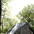 Summer Shed: Pennsylvania