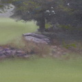 Blairstown Fog, NJ landscape